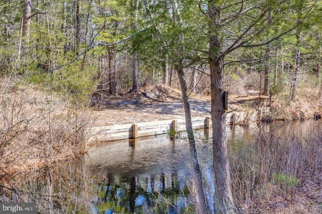 property view of water featuring a view of trees