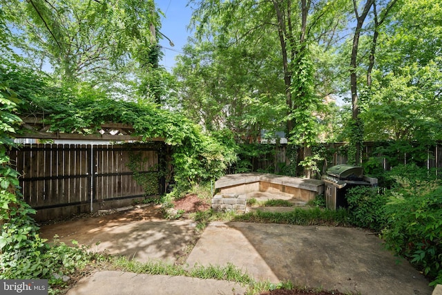 5724 4th St NW, Washington, DC 20011 - fenced backyard with a patio area