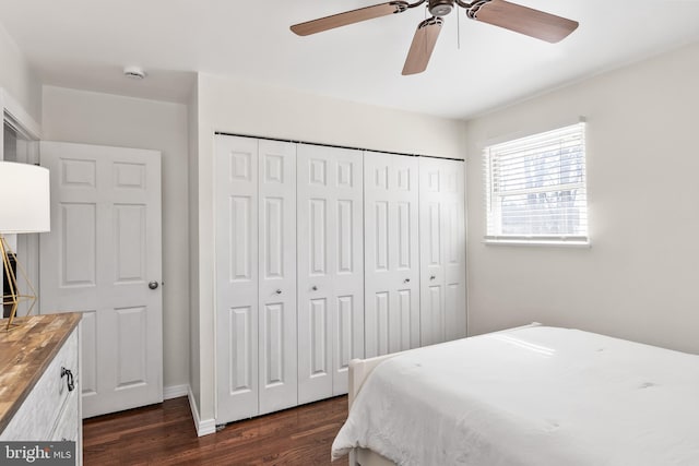 bedroom with dark wood-style floors, ceiling fan, and a closet