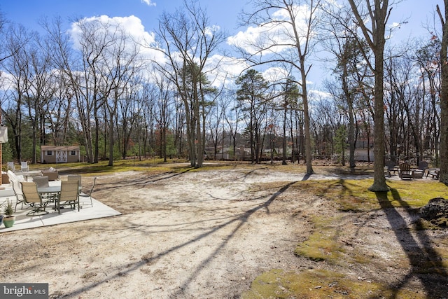 view of yard featuring an outdoor fire pit, a patio, and an outbuilding