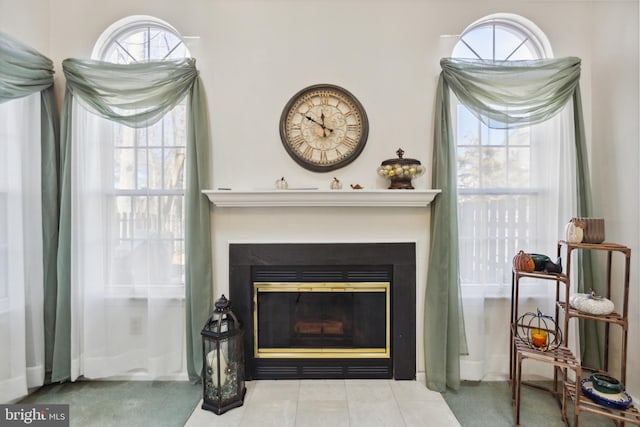 room details with a fireplace with flush hearth