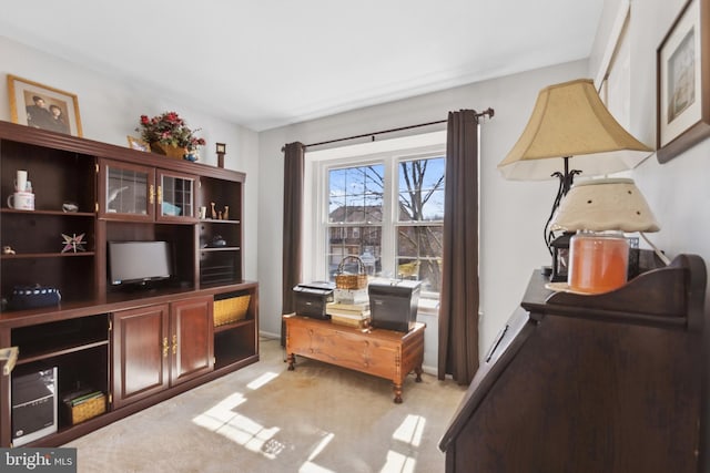 living area featuring baseboards and light colored carpet