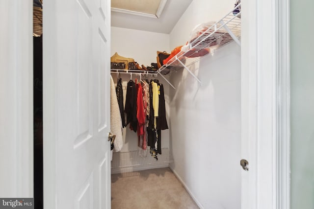 spacious closet with attic access and carpet flooring