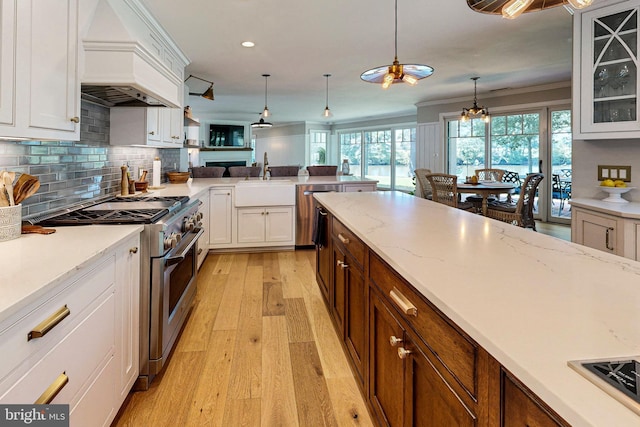 kitchen featuring stainless steel appliances, a sink, custom exhaust hood, tasteful backsplash, and crown molding