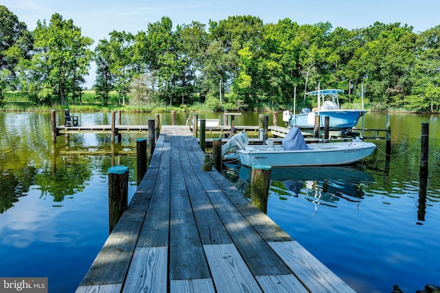 dock area featuring a water view