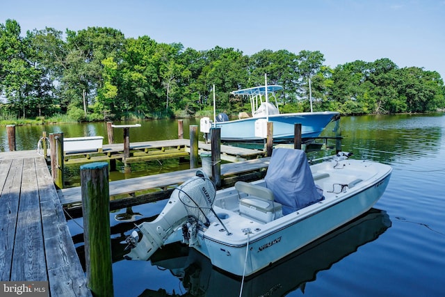 view of dock with a water view and boat lift