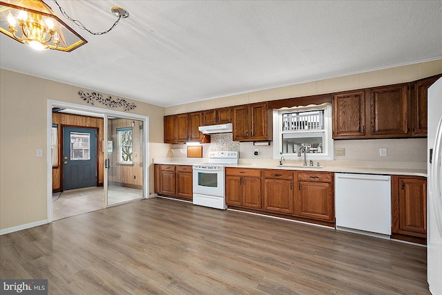 kitchen with under cabinet range hood, white appliances, wood finished floors, and a sink