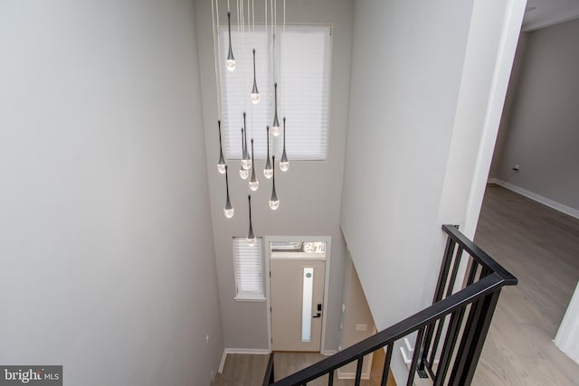 foyer entrance with baseboards, wood finished floors, and a healthy amount of sunlight