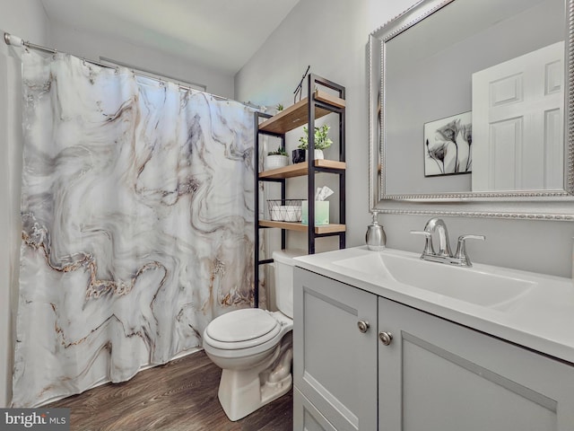 bathroom featuring vanity, toilet, and wood finished floors