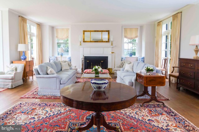 13401 Longnecker Rd, Reisterstown, MD 21136 - living room featuring plenty of natural light, a fireplace, and wood finished floors