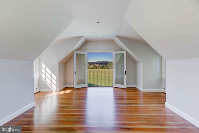 13401 Longnecker Rd, Reisterstown, MD 21136 - additional living space with a baseboard heating unit, a baseboard radiator, baseboards, and wood finished floors