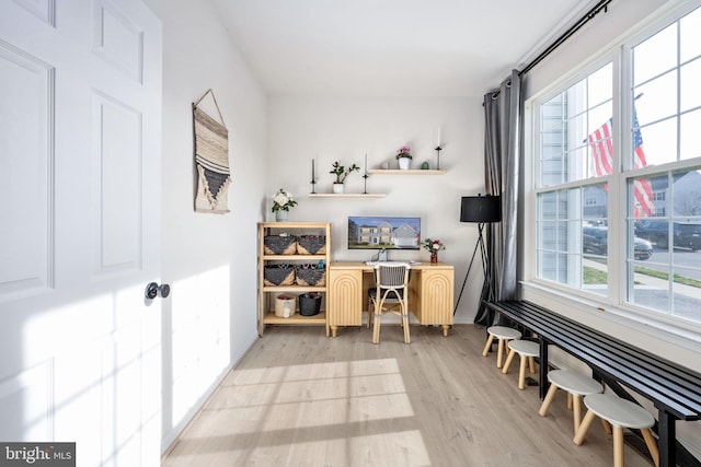 office space featuring a healthy amount of sunlight and light wood-style flooring