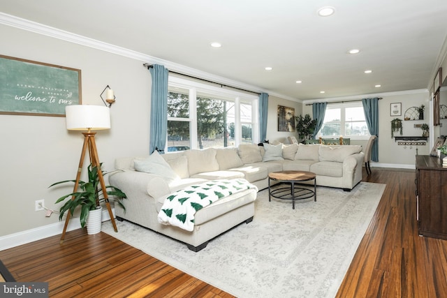 living area featuring ornamental molding, baseboards, and wood finished floors