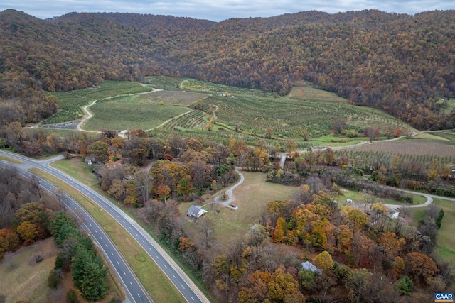 aerial view with a mountain view and a wooded view