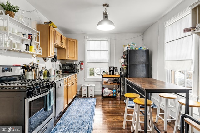 kitchen featuring dark wood-style floors, stainless steel appliances, light brown cabinetry, and pendant lighting