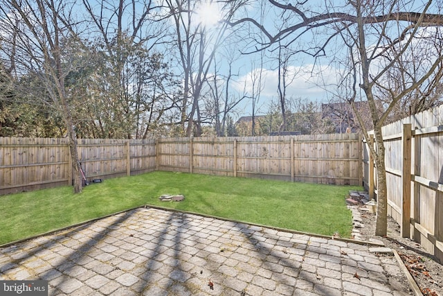 view of yard featuring a fenced backyard and a patio