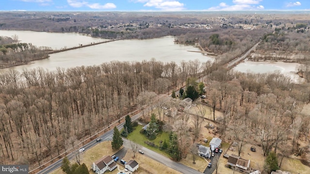 birds eye view of property with a forest view and a water view