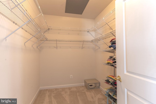 spacious closet with carpet