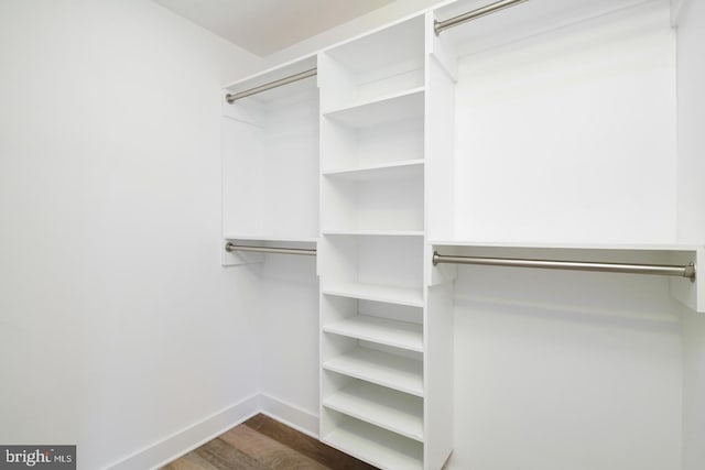 spacious closet featuring dark wood-style flooring