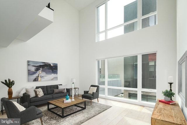 living area with wood finished floors and a towering ceiling