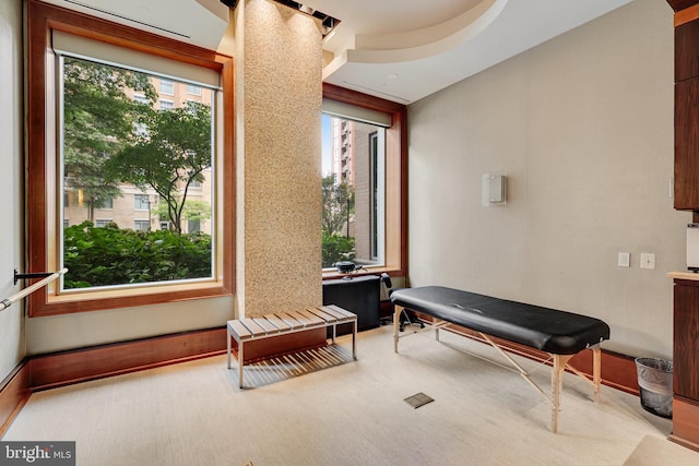 sitting room with carpet flooring