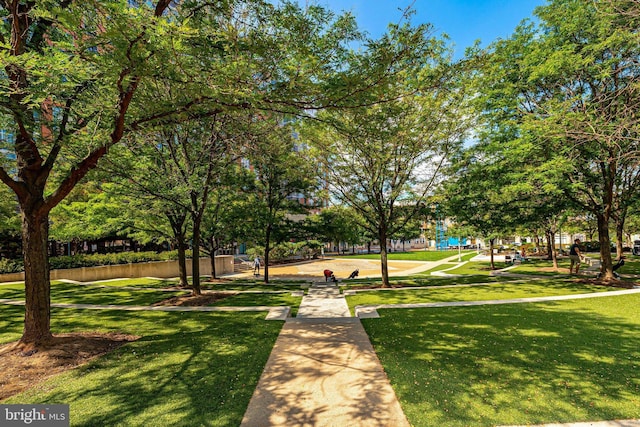 surrounding community featuring a yard