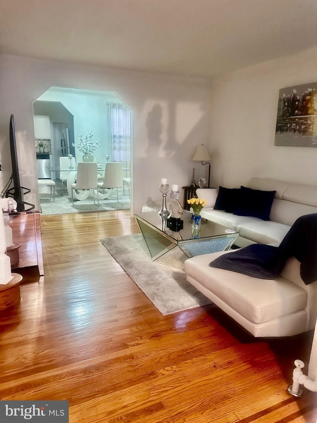 living room featuring wood finished floors