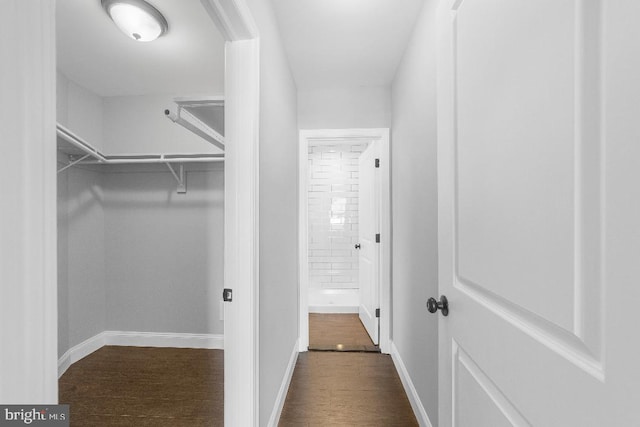 spacious closet featuring wood finished floors