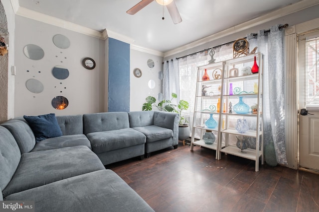 living area featuring a ceiling fan, ornamental molding, and dark wood-type flooring