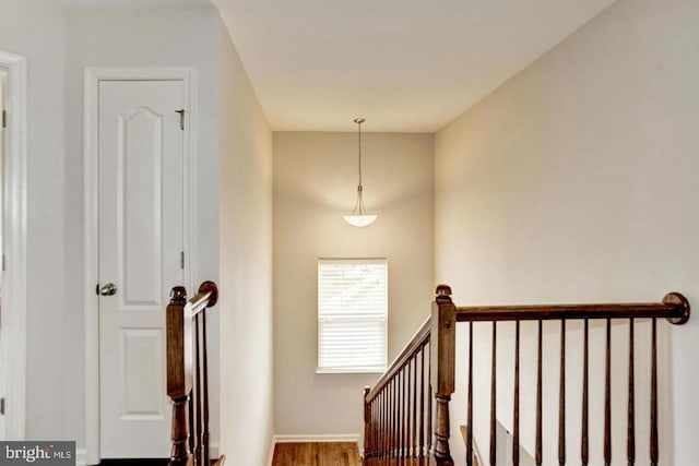 stairway featuring wood finished floors