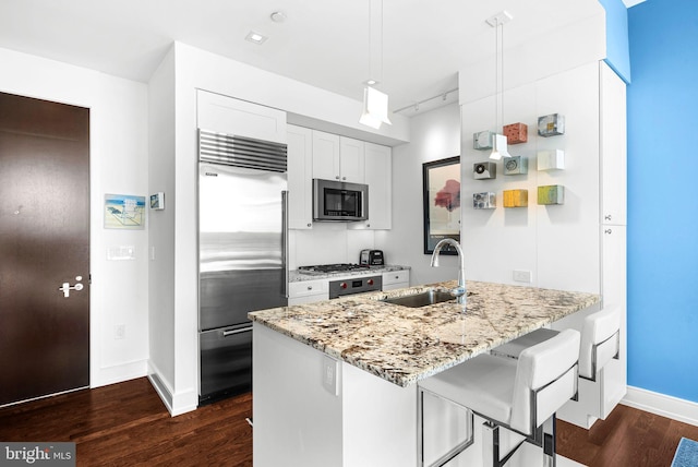 kitchen with stainless steel appliances, dark wood-style flooring, a sink, and light stone counters