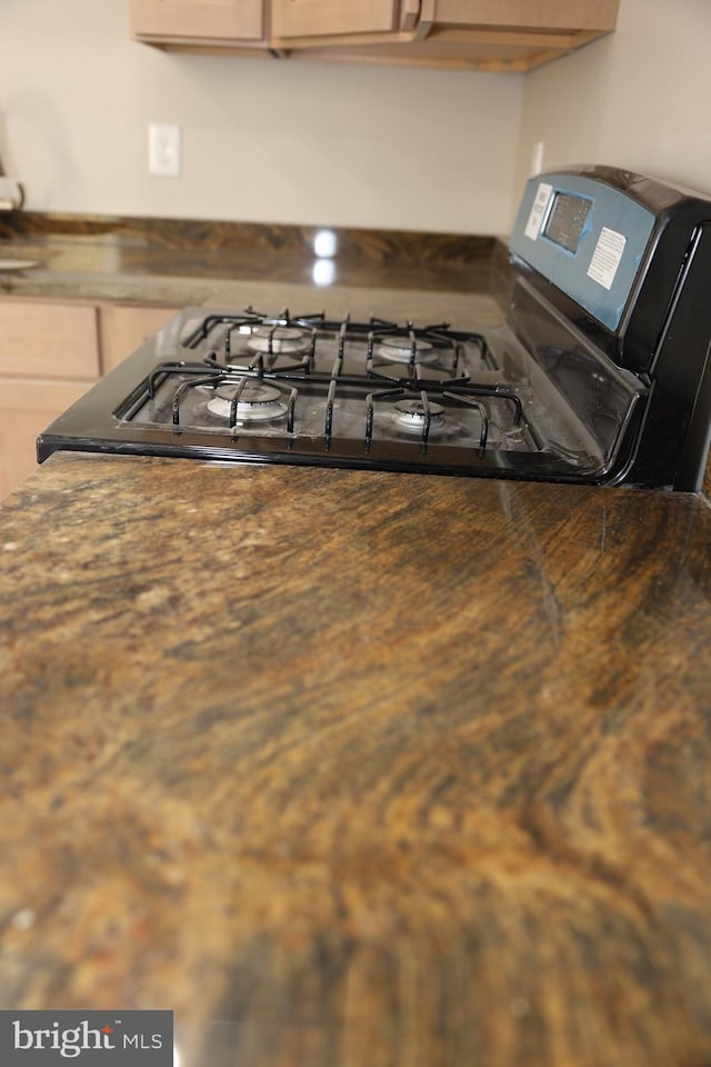 interior details with dark countertops and stainless steel gas range