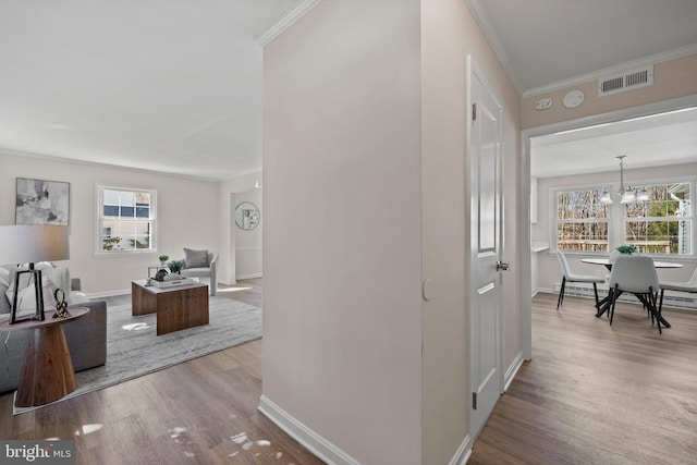 corridor featuring visible vents, crown molding, an inviting chandelier, and wood finished floors