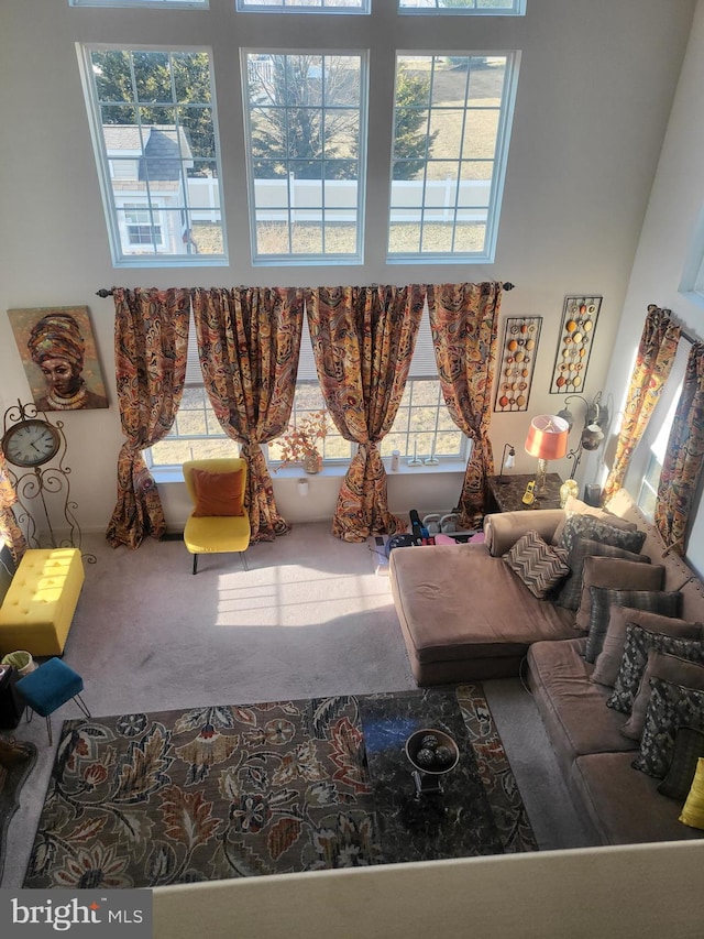 living area with a high ceiling and carpet flooring