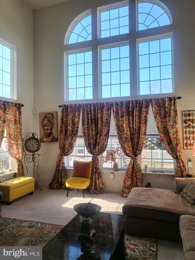 carpeted living room featuring a high ceiling