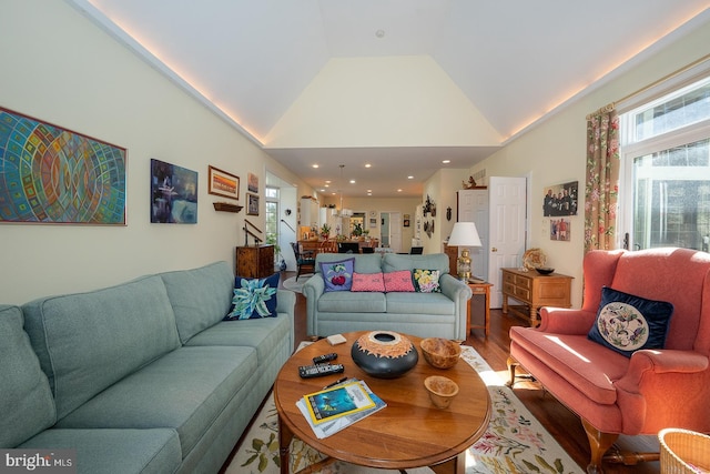 living room featuring high vaulted ceiling and wood finished floors