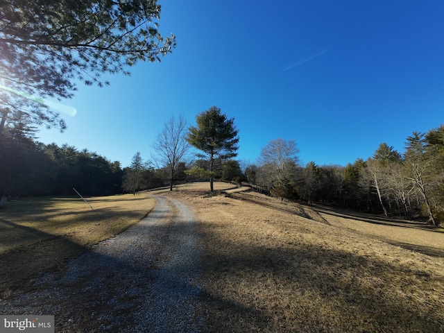 view of street with a view of trees