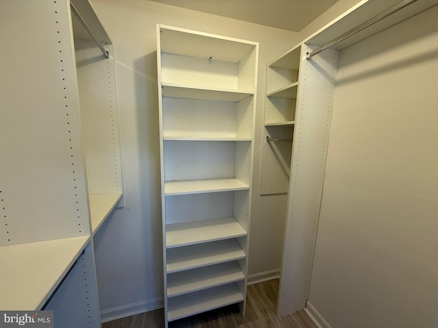 spacious closet with dark wood finished floors