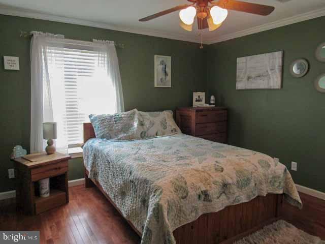 bedroom featuring crown molding, multiple windows, wood finished floors, and baseboards