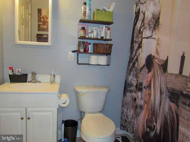 bathroom featuring toilet, curtained shower, and vanity