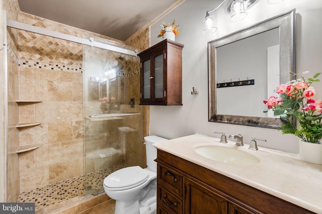 bathroom featuring toilet, a stall shower, and vanity