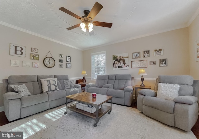 living room with a ceiling fan, crown molding, and a textured ceiling