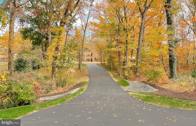 view of property's community featuring a view of trees