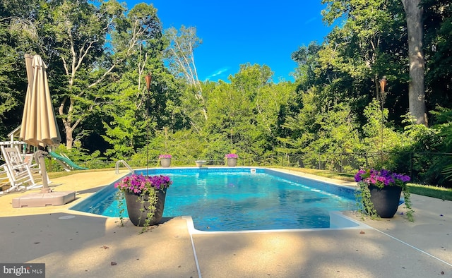 outdoor pool with a diving board, a patio, and fence