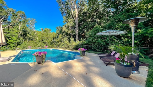 pool with a patio area