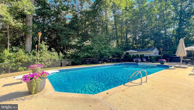 view of swimming pool featuring a fenced in pool, a patio area, and fence