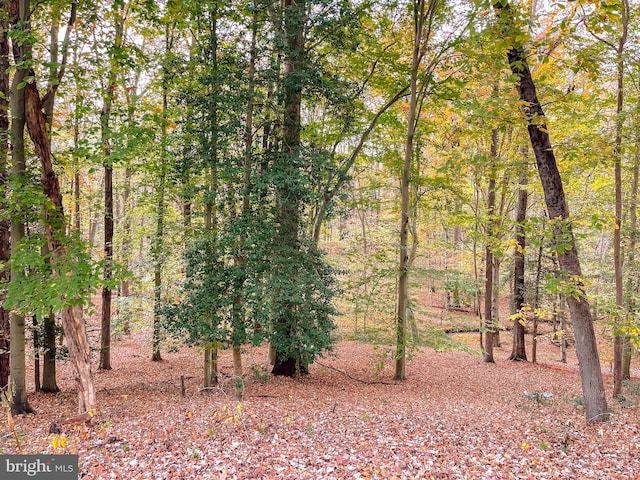 view of landscape with a view of trees