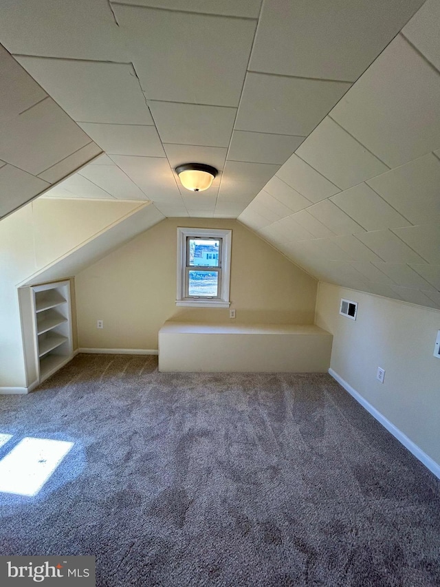 additional living space featuring carpet, visible vents, vaulted ceiling, and baseboards