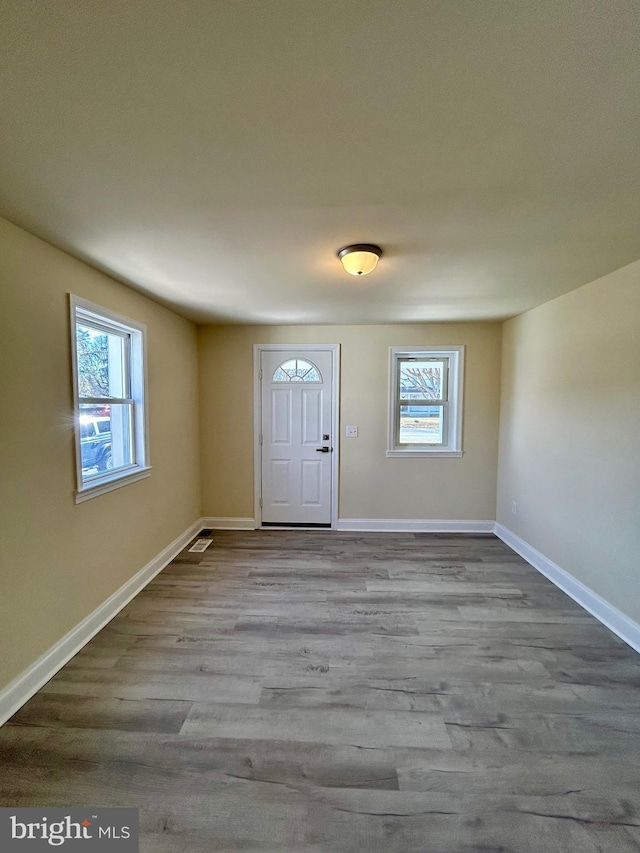 foyer with wood finished floors, a wealth of natural light, and baseboards