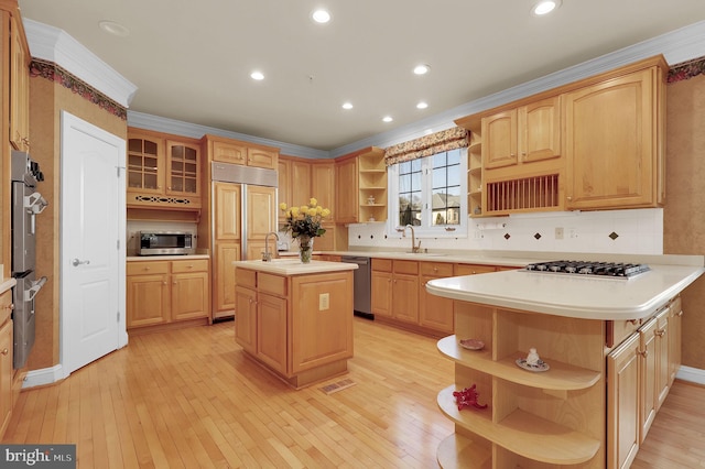 kitchen with open shelves, light wood-type flooring, appliances with stainless steel finishes, and a sink